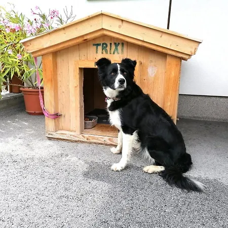 アパート Blasinghof I ゲルロスベルク