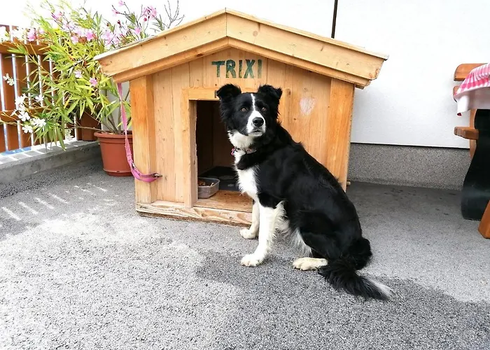 Appartement Blasinghof I Gerlosberg